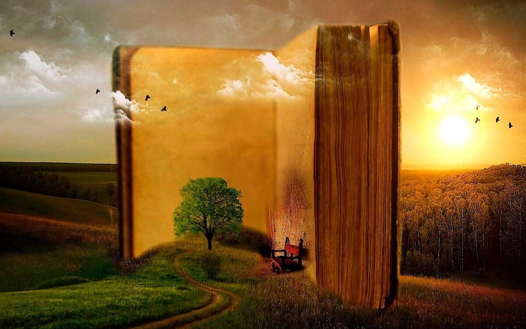 Este verano sí me voy a leer un libro entero