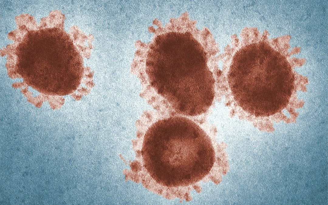 Quédate en casa, pero no te quedes sin tu libro